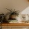 bureau top decorated with potted plants, books and framed pictures