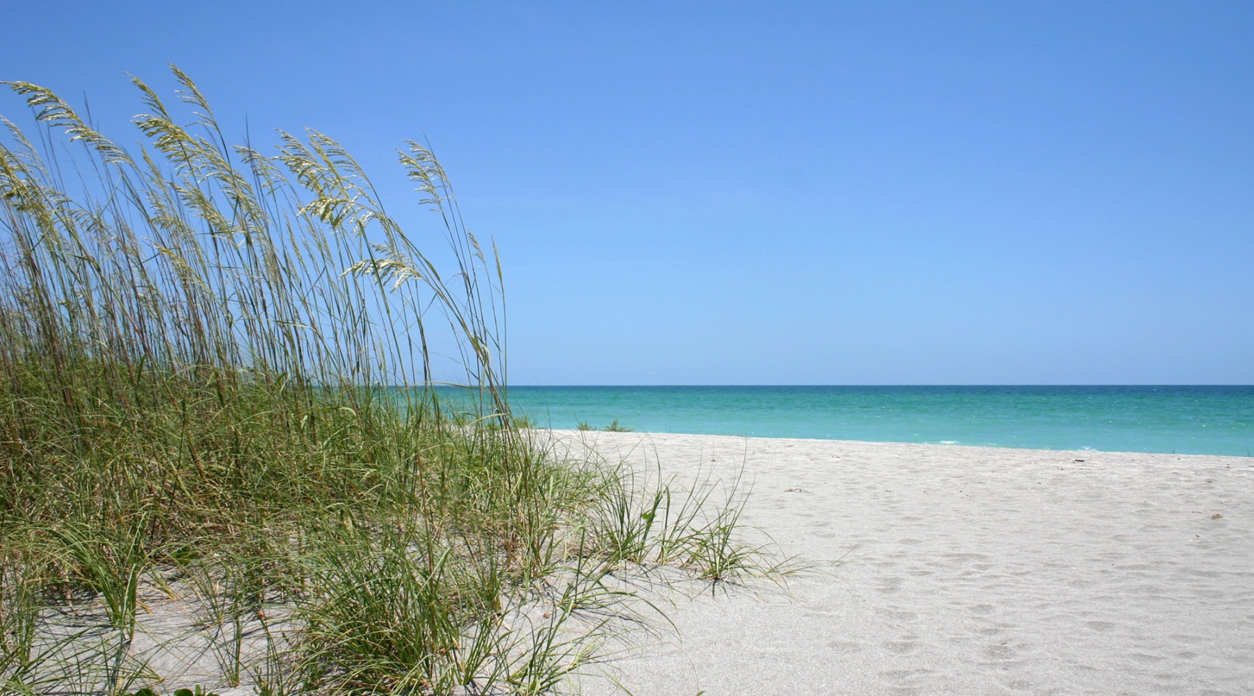 a sandy beach on a clear day
