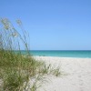 a sandy beach on a clear day